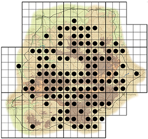 Ochna pulchra Waterberg distribution